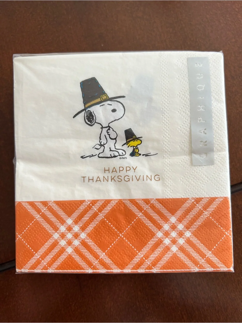 Peanuts delightful figurine